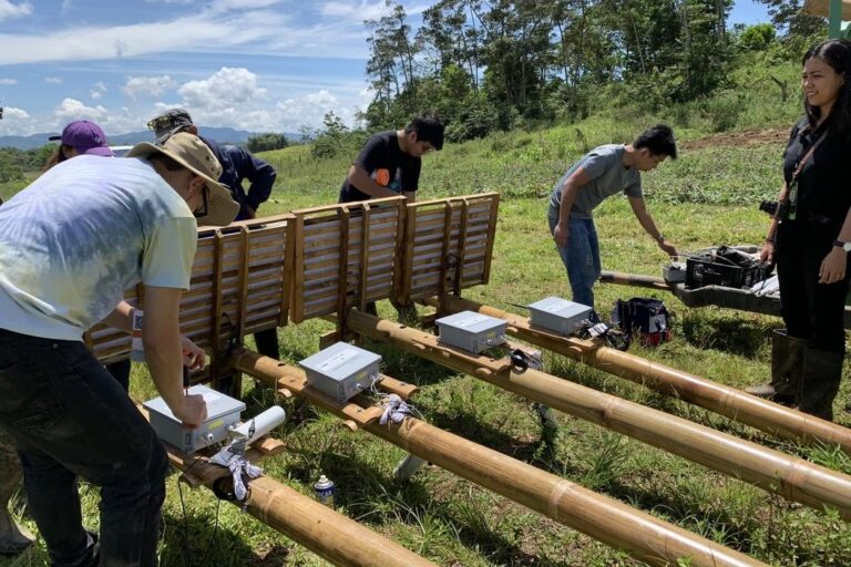 Farming but make it fun